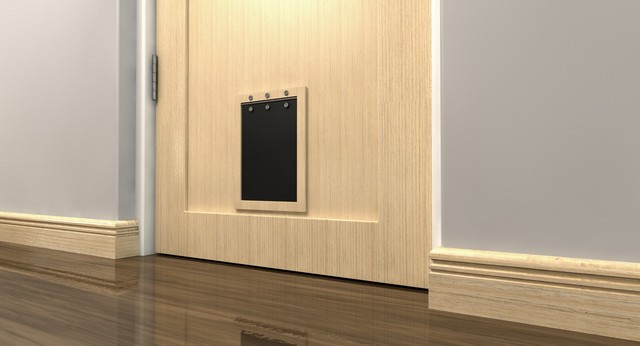 Cat Flap Installation Waterloo, SE1