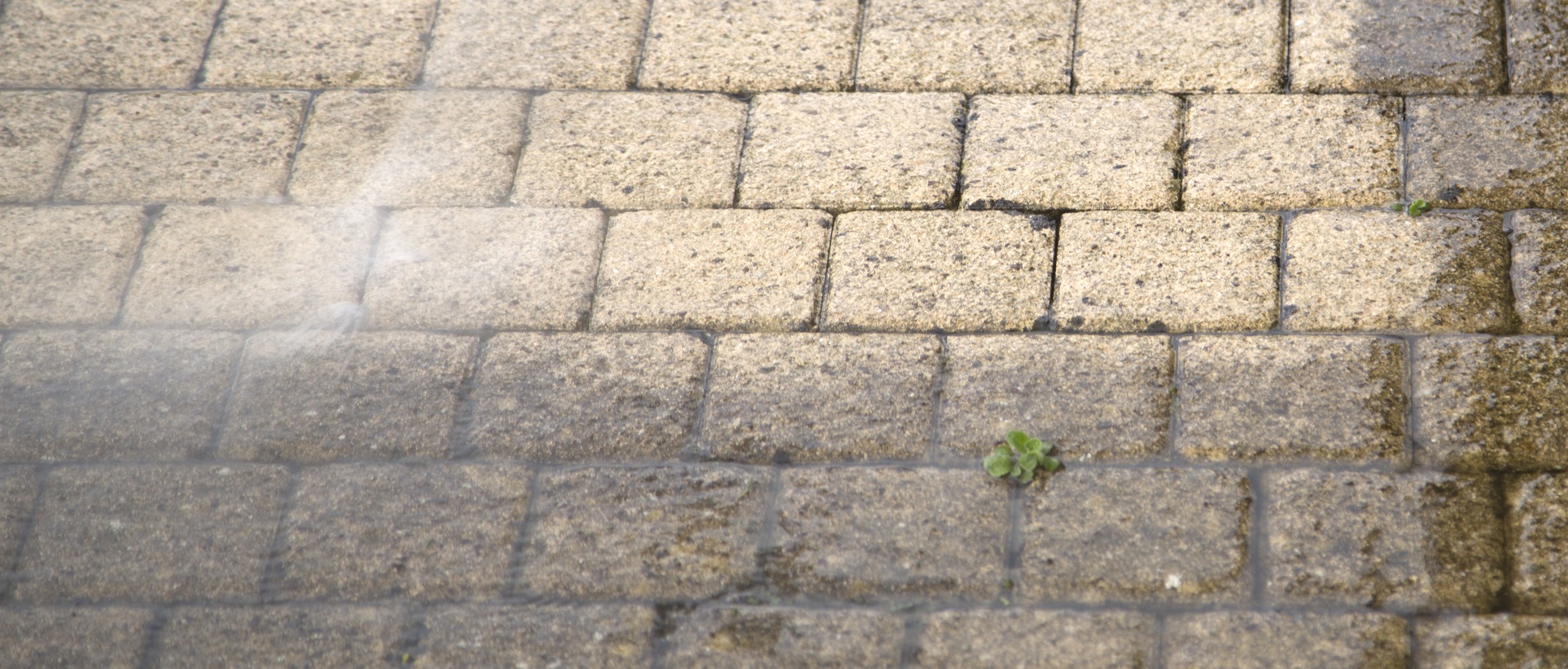 flagging and patios SE1