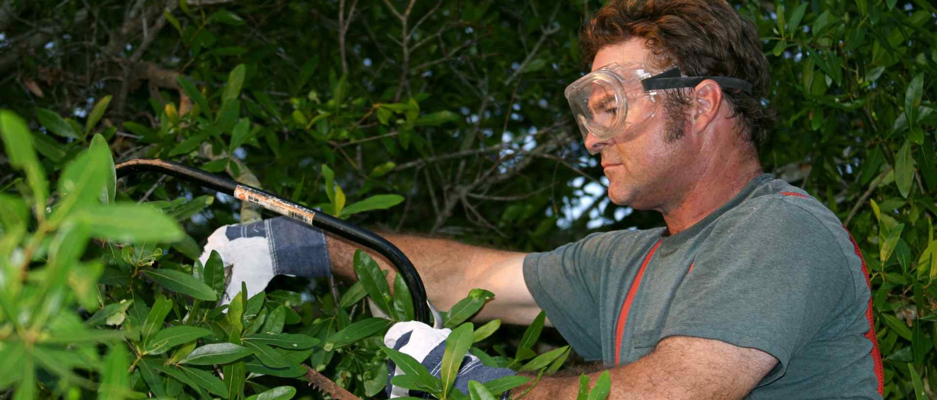 garden clearance SE1